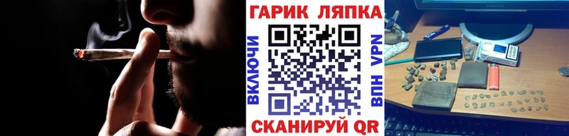APVP Ардатов