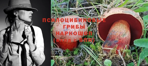 прущая мука Алзамай