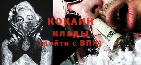 тгк Алексин